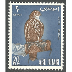 ABU DHABI SCOTT 12