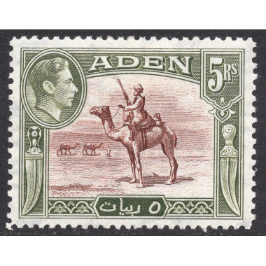 ADEN SCOTT 26