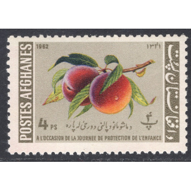 AFGHANISTAN SCOTT 607