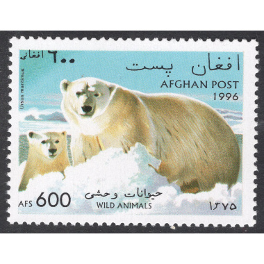 AFGHANISTAN LOT 11