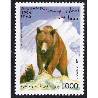 AFGHANISTAN LOT 8
