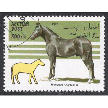 AFGHANISTAN LOT 21