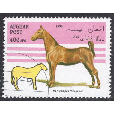 AFGHANISTAN LOT 22