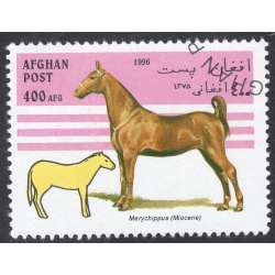AFGHANISTAN LOT 23