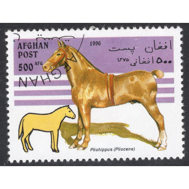 AFGHANISTAN LOT 24