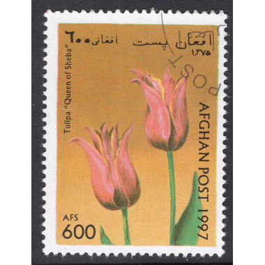 AFGHANISTAN LOT 34