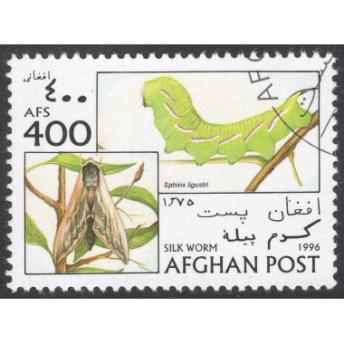 AFGHANISTAN LOT 38