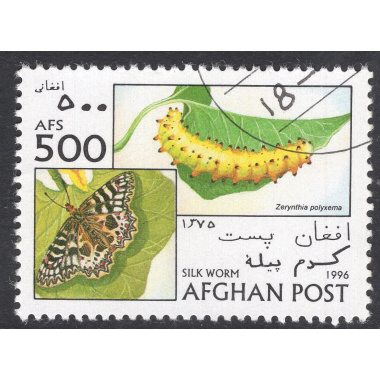 AFGHANISTAN LOT 40