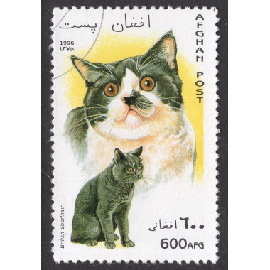 AFGHANISTAN LOT 51