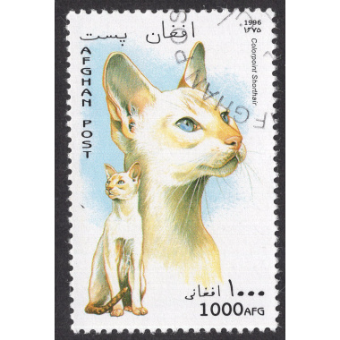 AFGHANISTAN LOT 52