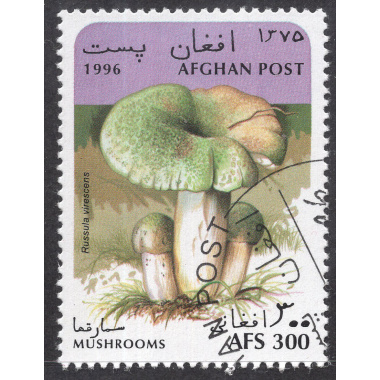 AFGHANISTAN LOT 56