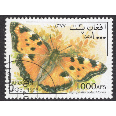 AFGHANISTAN LOT 87