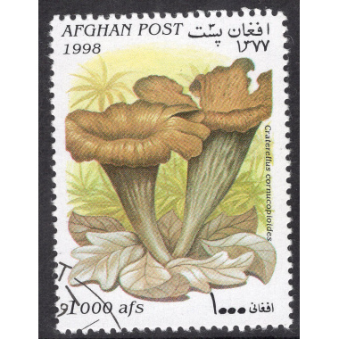AFGHANISTAN LOT 97