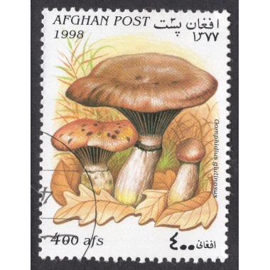 AFGHANISTAN LOT 102