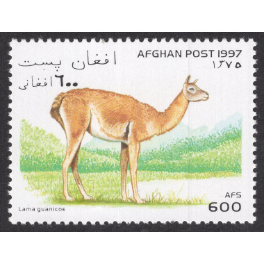 AFGHANISTAN LOT 109