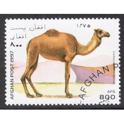 AFGHANISTAN LOT 110