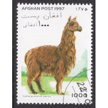 AFGHANISTAN LOT 115