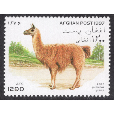 AFGHANISTAN LOT 117