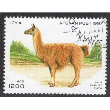AFGHANISTAN LOT 118