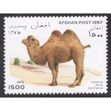 AFGHANISTAN LOT 119