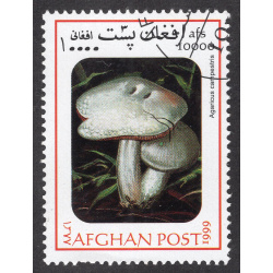 AFGHANISTAN LOT 185