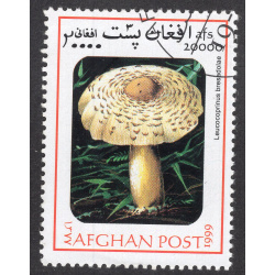 AFGHANISTAN LOT 188
