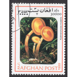 AFGHANISTAN LOT 190