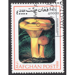 AFGHANISTAN LOT 192