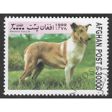 AFGHANISTAN LOT 199