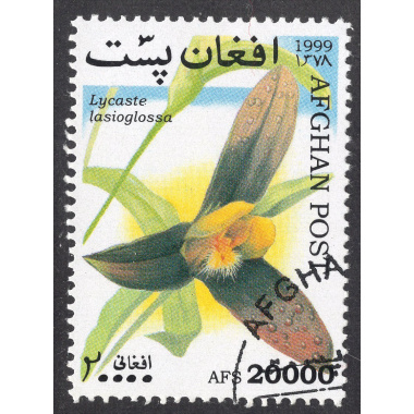 AFGHANISTAN LOT 238
