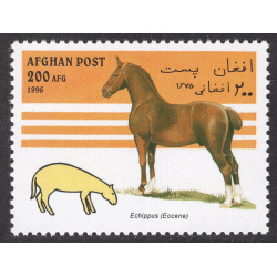 AFGHANISTAN LOT 300