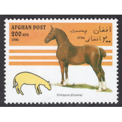 AFGHANISTAN LOT 301