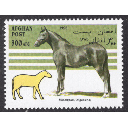 AFGHANISTAN LOT 303