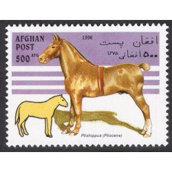 AFGHANISTAN LOT 304
