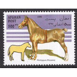 AFGHANISTAN LOT 305