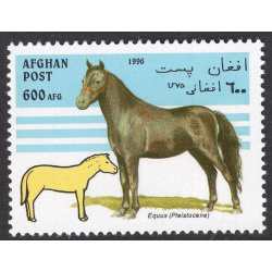 AFGHANISTAN LOT 307