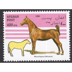 AFGHANISTAN LOT 308