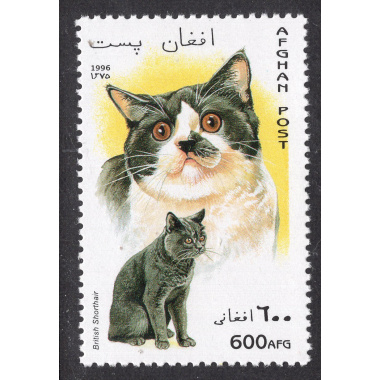 AFGHANISTAN LOT 310