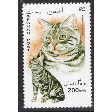 AFGHANISTAN LOT 313