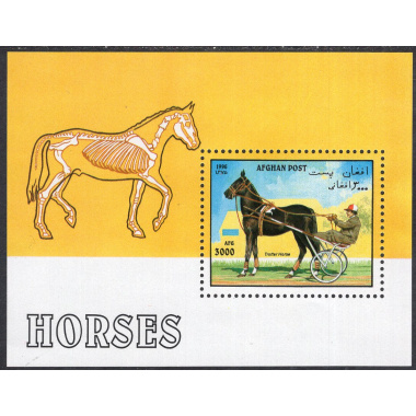 AFGHANISTAN LOT 359