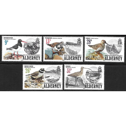 ALDERNEY SCOTT 13-17