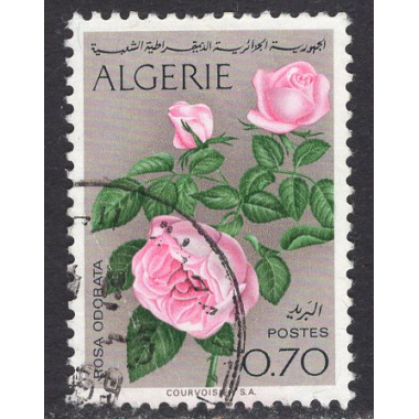 ALGERIA SCOTT 413