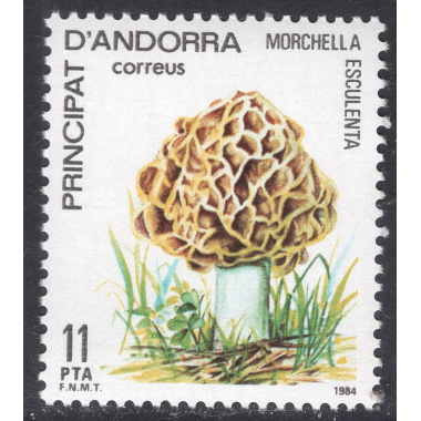 ANDORRA-SPANISH SCOTT 165