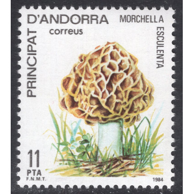 ANDORRA-SPANISH SCOTT 165