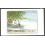 ANGUILLA SCOTT 444C/446C