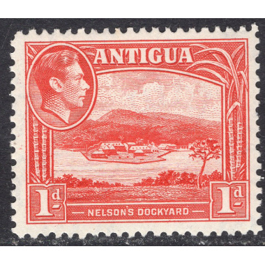 ANTIGUA SCOTT 85