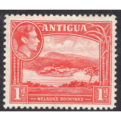 ANTIGUA SCOTT 85