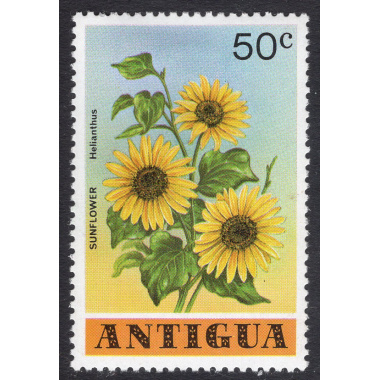 ANTIGUA SCOTT 520