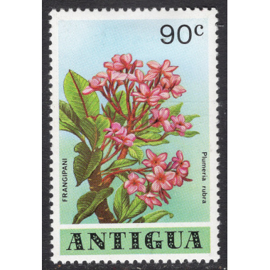 ANTIGUA SCOTT 521