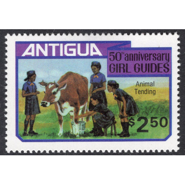 ANTIGUA SCOTT 631